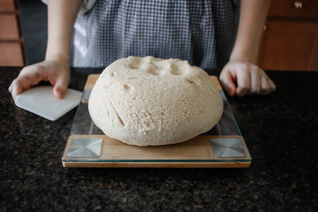 Sourdough dinner rolls on kitchen scale