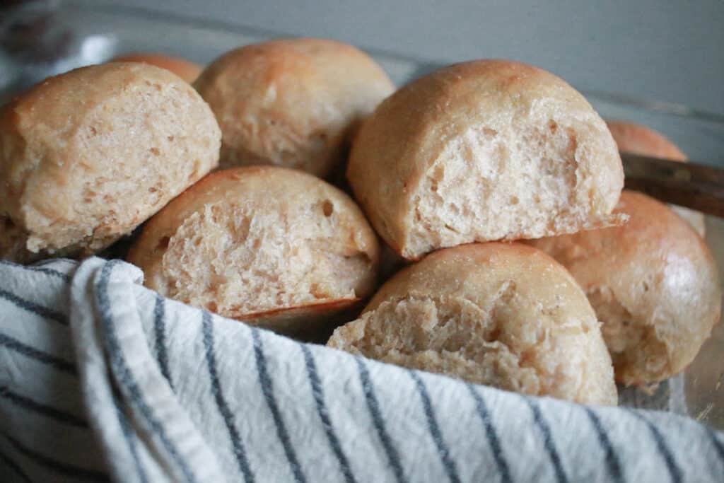 Sourdough dinner rolls in pan with tea towel
