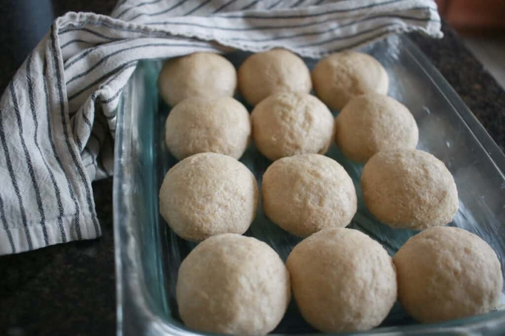 Sourdough dinner rolls before rising