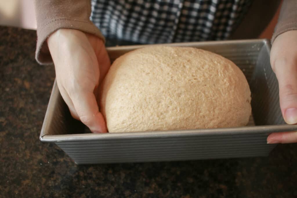 Woman putting dough into sandwich loaf pan