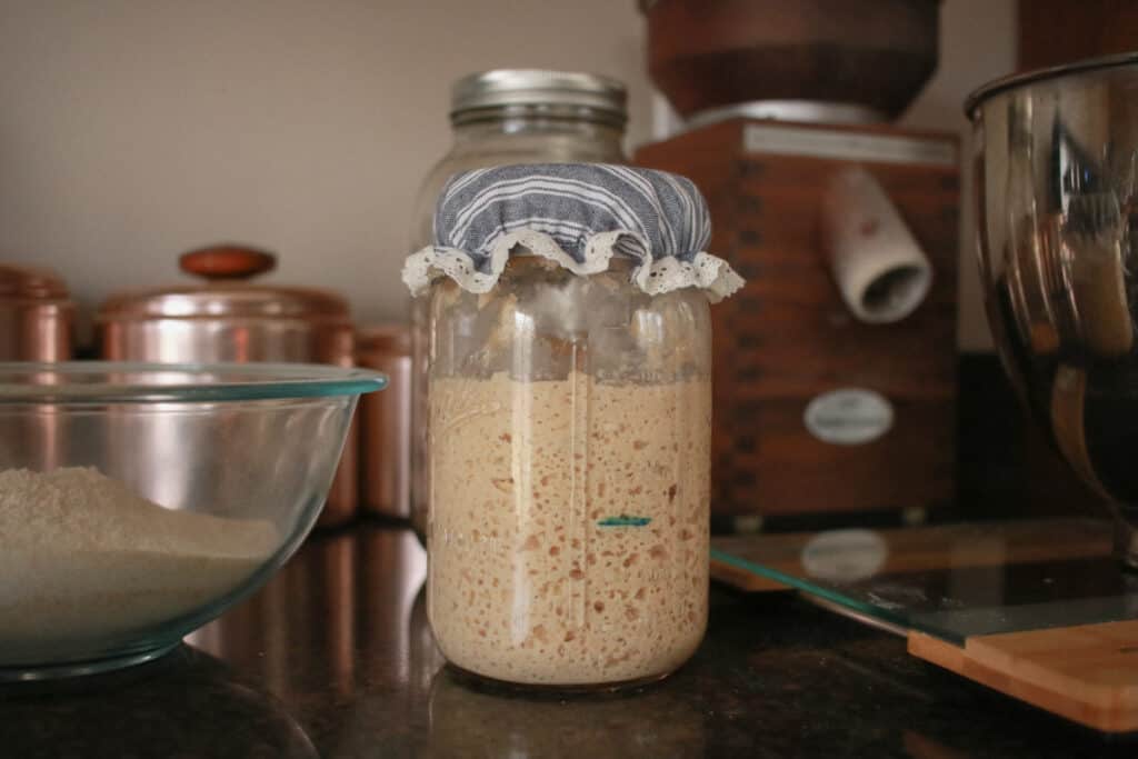 Fresh milled sourdough starter